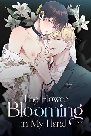 the-flower-blooming-in-my-hand
